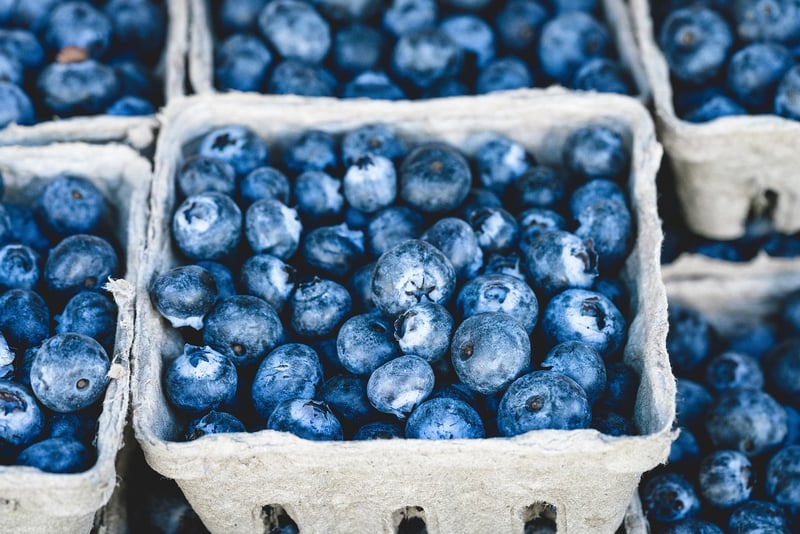 Fruit Trees in Containers