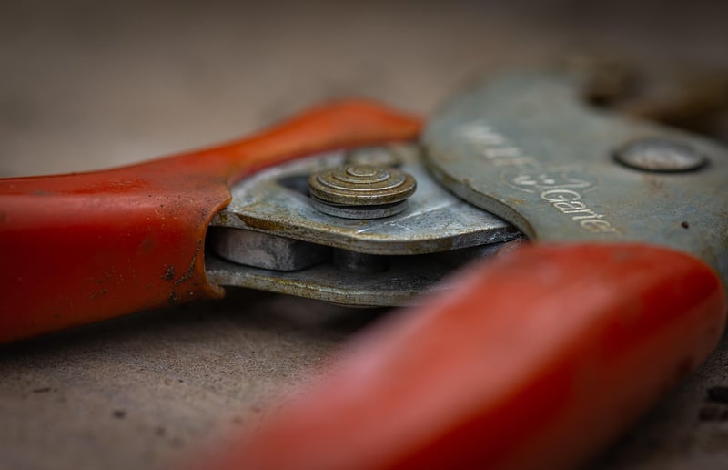 Pruning Shears