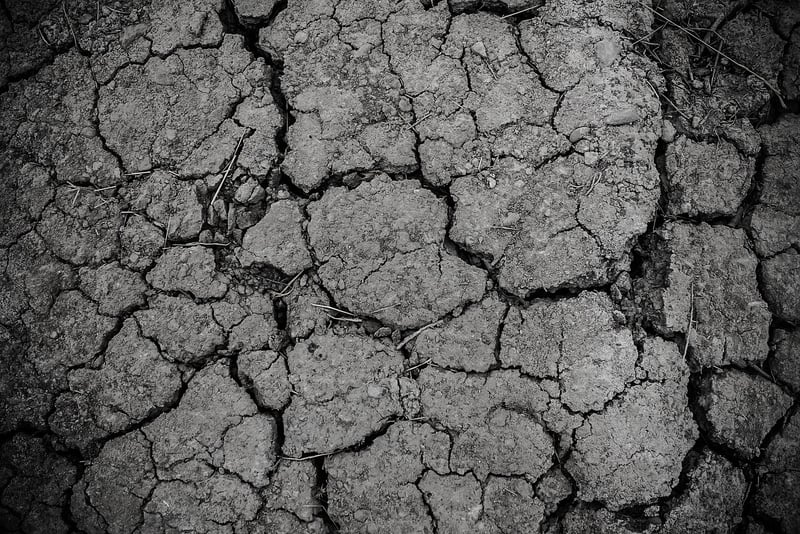 Soil and Fertilization